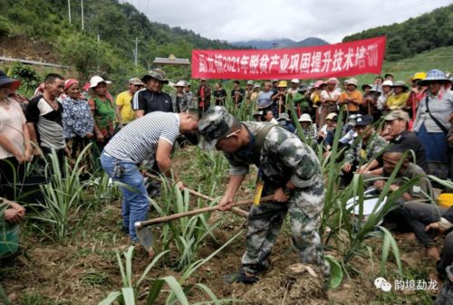 產(chǎn)業(yè)技術培訓 助推脫貧鞏固